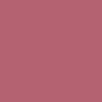 Nude  Pink