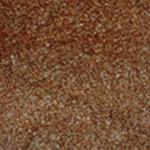 Beige Brown