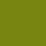 Banarasi Green