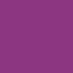 Purple Heart ES13