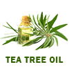 Tea Tree Oil 