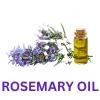 Rosemary Oil