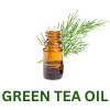 Green Tea Oil