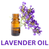 Lavender Oil