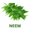 Neem 