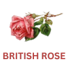 British Rose