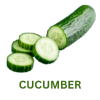 Cucumber