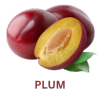 Plum