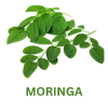 Moringa