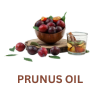 Prunus Oil