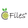 C Files 