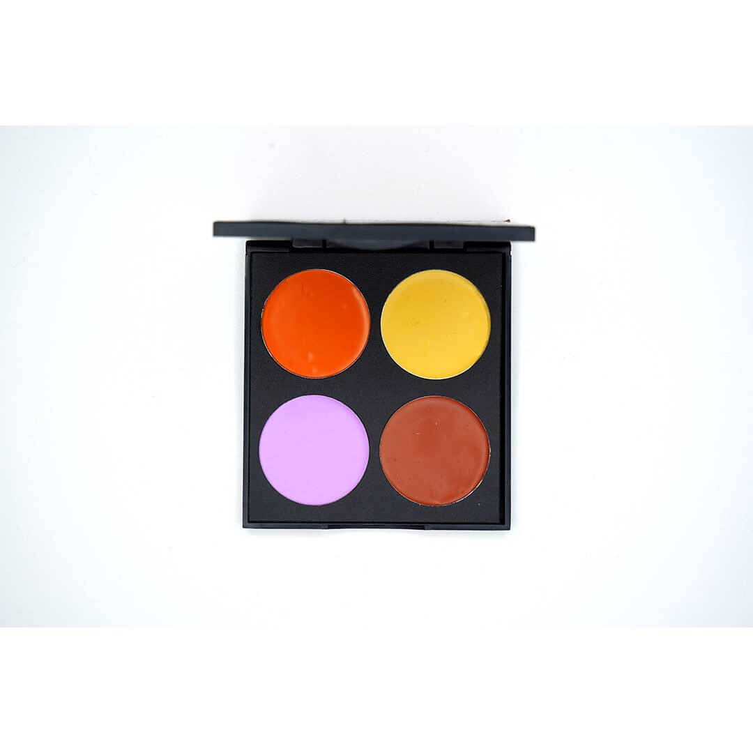 Skin Paints Naked Reloaded Cream Concealer Palette - 14g